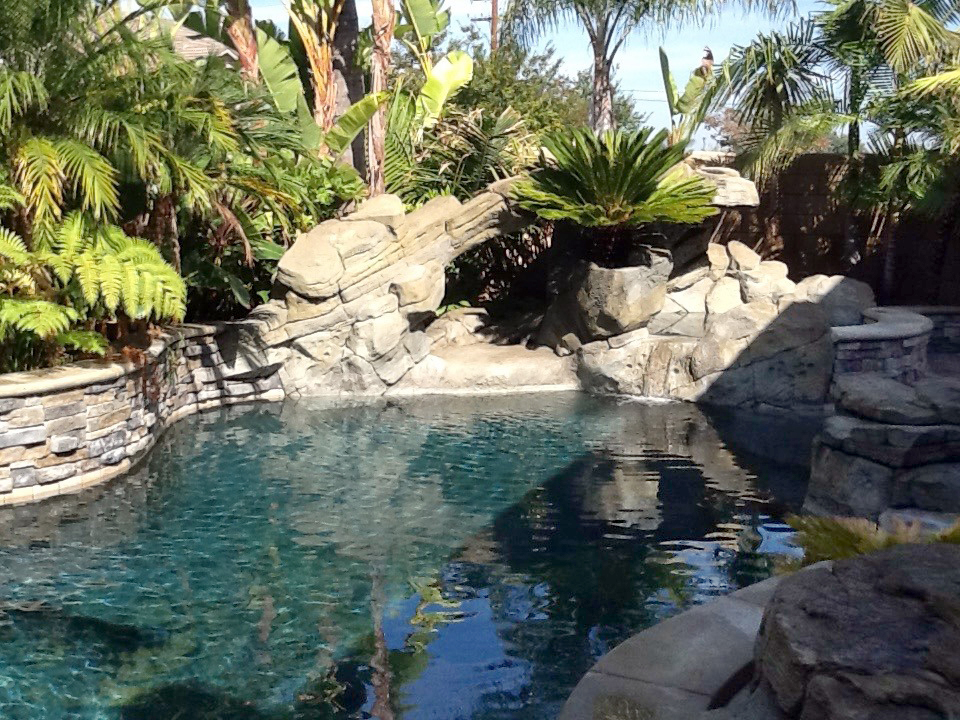 Backyard pool with grotto feature and tropical plantings