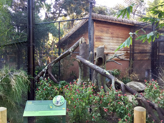 Zoo habitat with sculpted dead tree branches