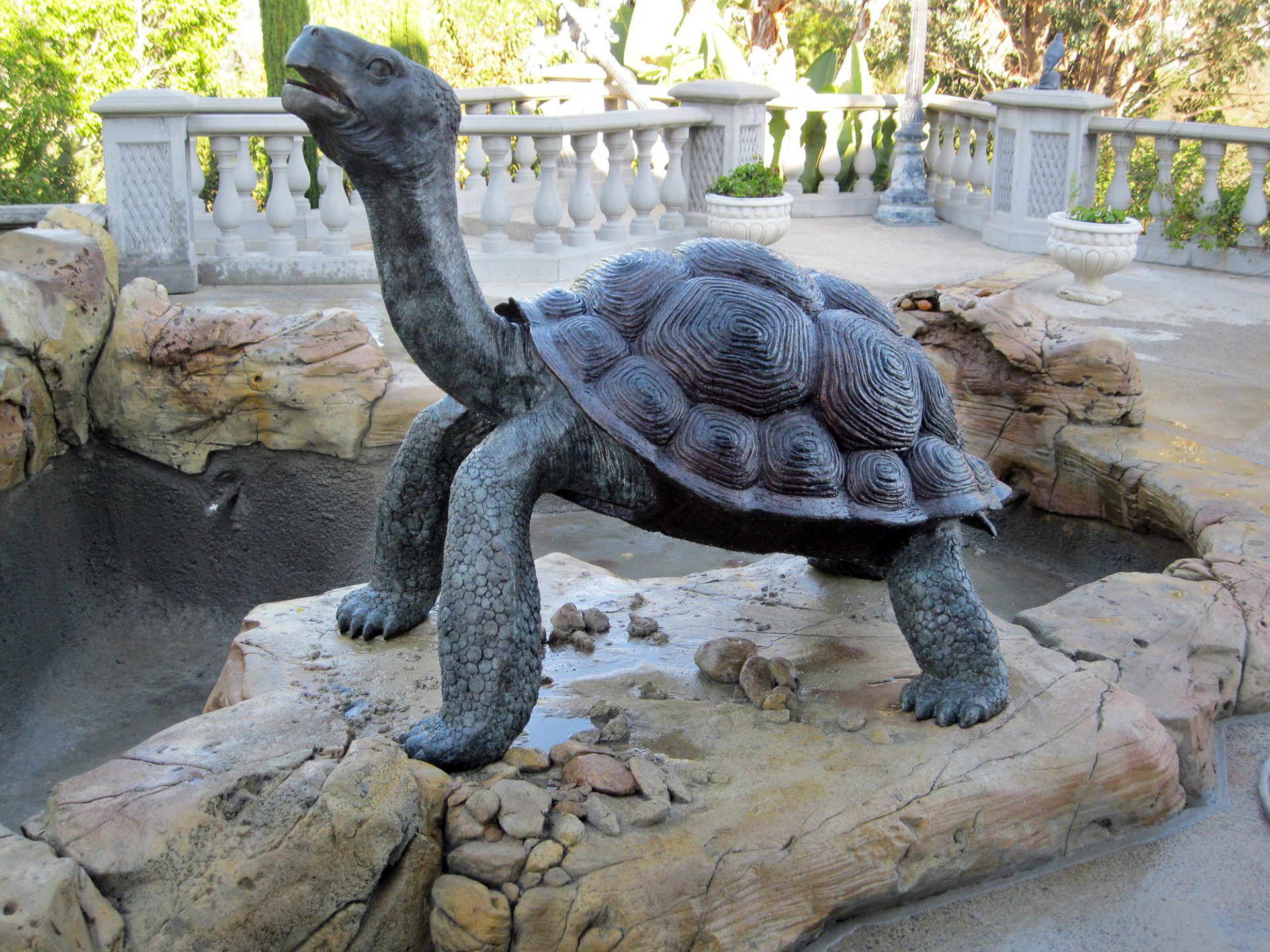Life-sized sculpted concrete Galápagos tortoise statue