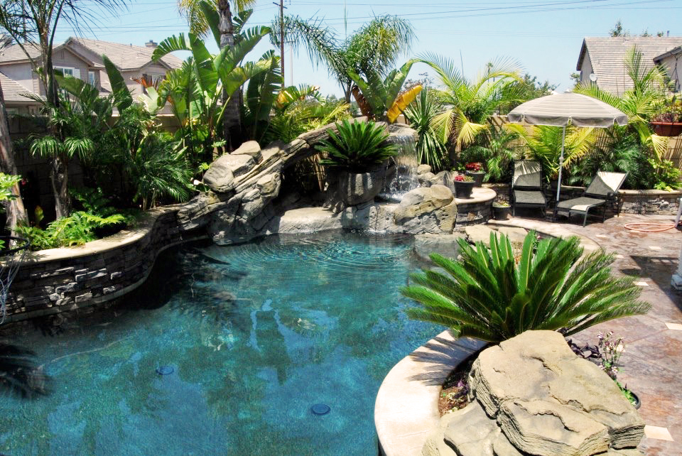 Naturalistic backyard pool with concrete rock formations and tropical palms