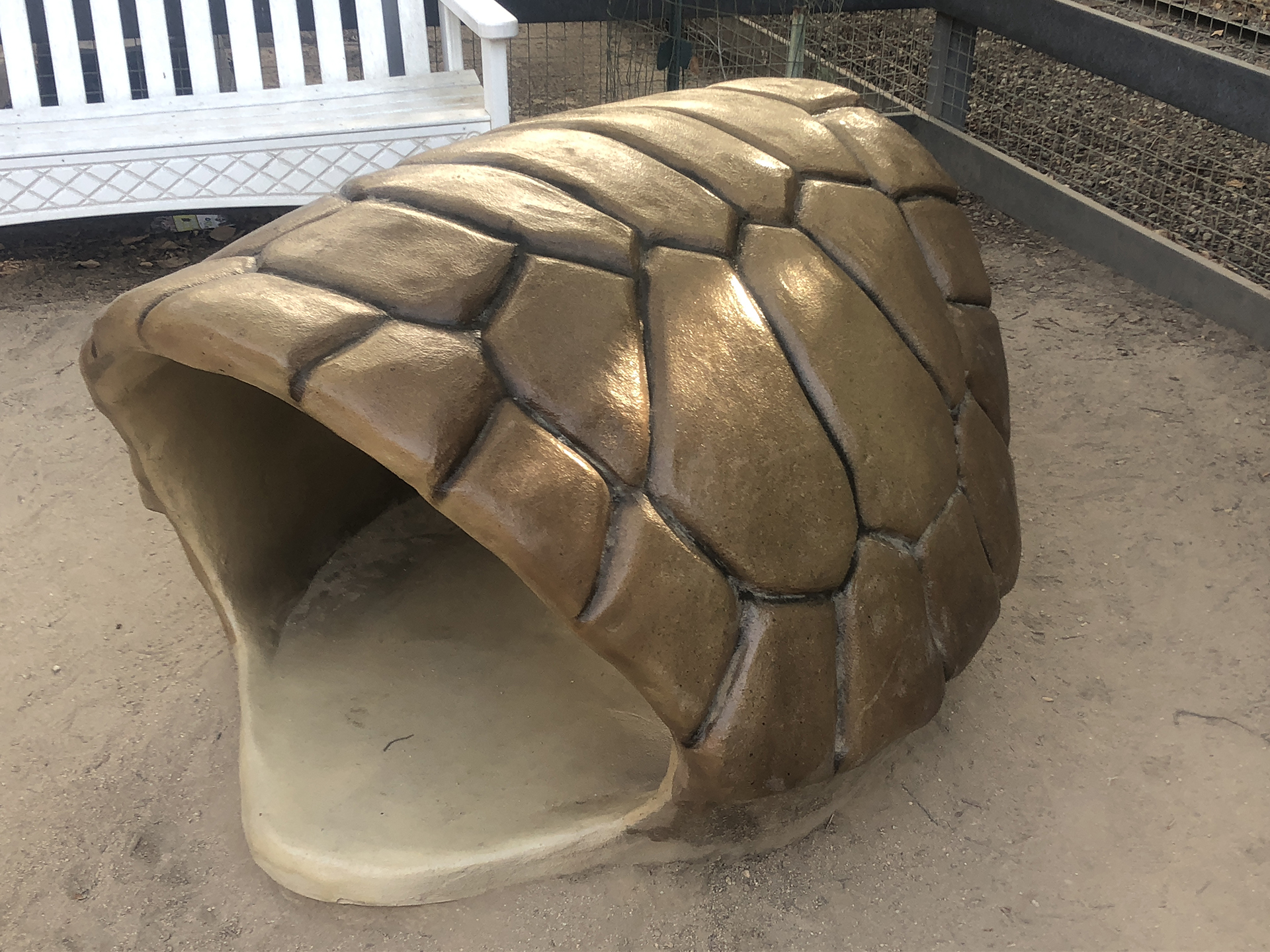 Sculpted tortoise shell prop for children to enter