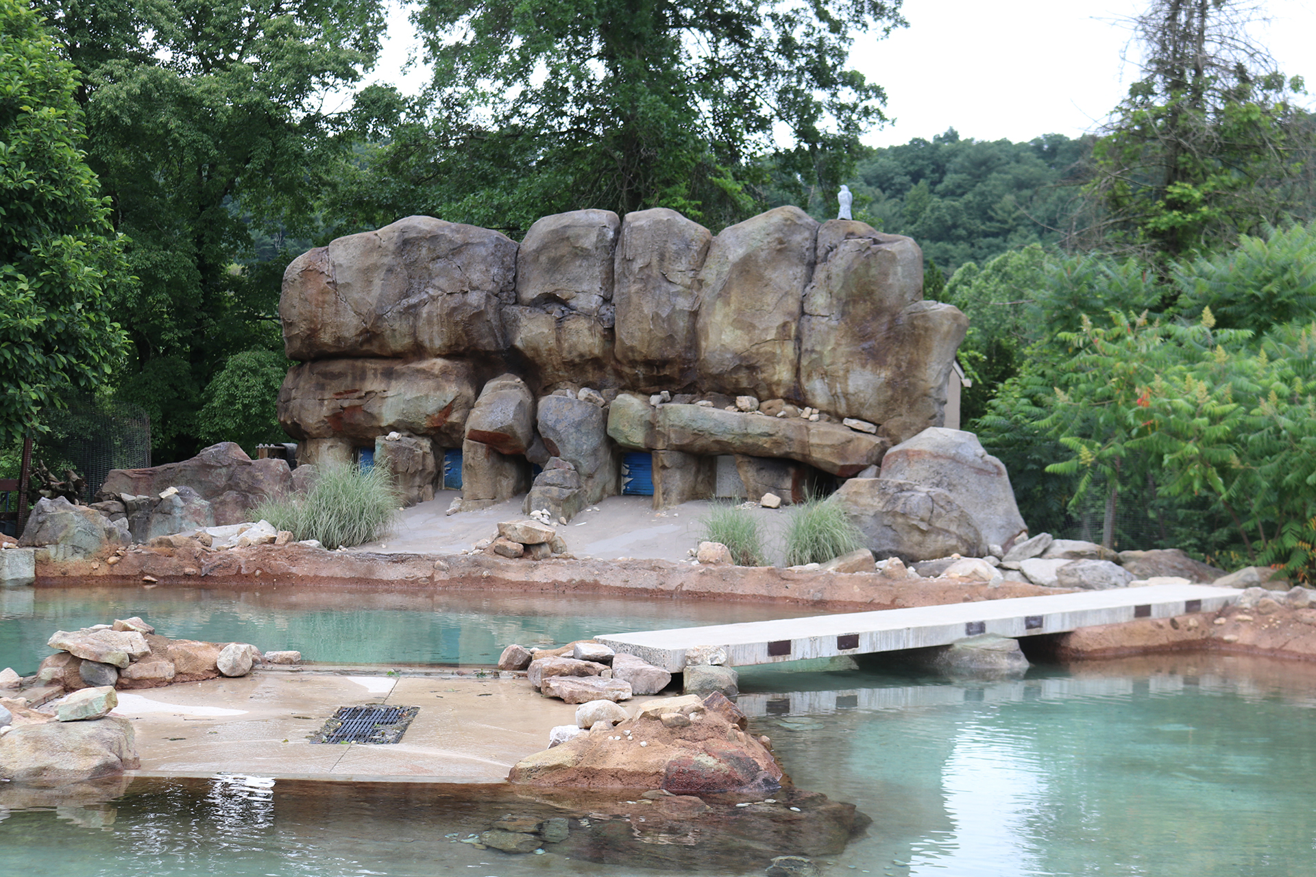 Large-scale zoo aquatic habitat with concrete rock formation