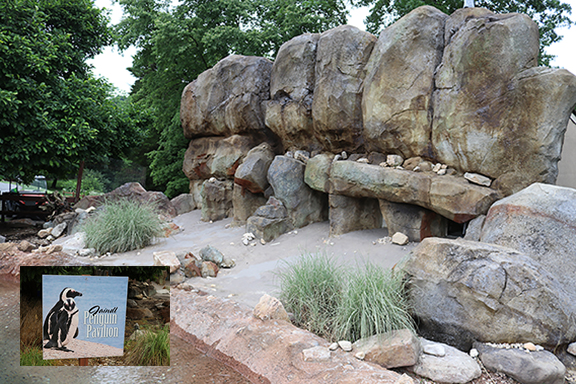 Zoo Habitats Authenticenvironments Zoo Habitats Authenticenvironments